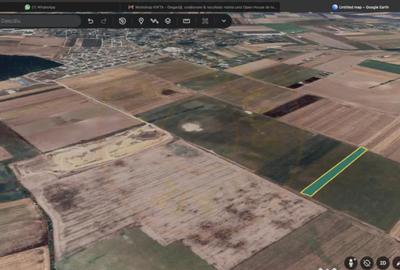 Teren de 10000 mp, în Dascălu