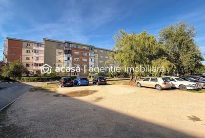 Apartament cu 3 camere decomandat, mobilat în Alfa - 9