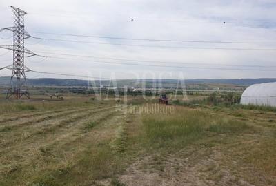 Teren extravilan industrial de vanzare in Iris, Cluj Napoca - 1