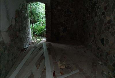 Casă cu Teren 552 Mp în Băiuț - 9