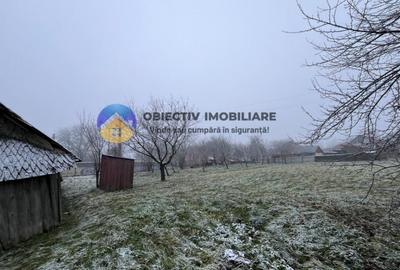 Casa si teren- Negresti - 2