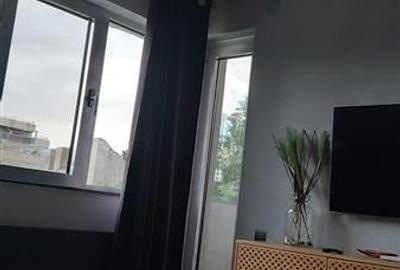 Studio, 40mp, Pache Protopopescu-Ferdinand, renovat - 6