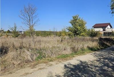 Snagov - Izvorani - Ciolpani teren rezidential - 6
