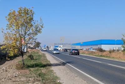 Hala depozitare – productie, Popesti Leordeni, DNCB, Autostrada A0 - 19