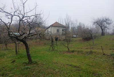 Teren 2900mp + Casa Miclosanii Mari, Dambovita - 2