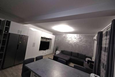 Apartament cu 2 camere semidecomandat, mobilat în Giroc - 14