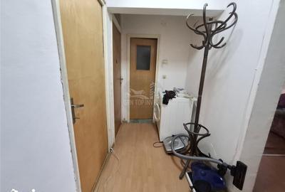 Apartament cu 3 camere decomandat, mobilat în Terezian - 19