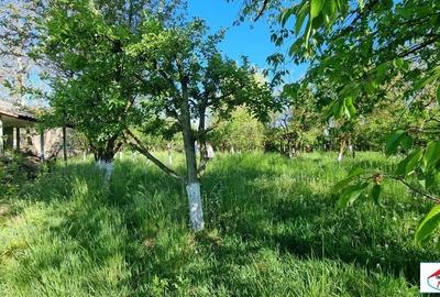 Teren în Bercu Roșu - 4