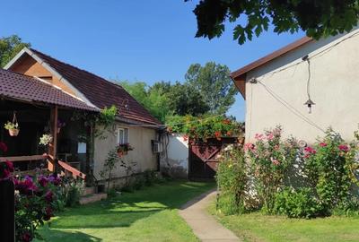 Casa de vanzare in Secaseni - 3