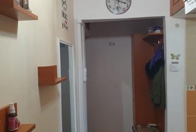 Apartament cu 2 camere semidecomandat, mobilat în Exercițiu - 10