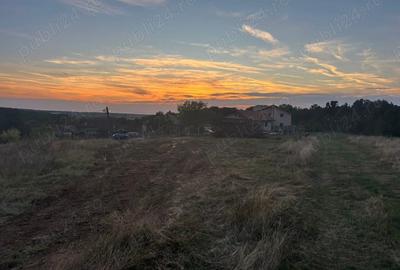Teren de 1001 mp, în Betfia - 8