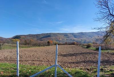 Teren de 4316 mp, în Fârdea - 2