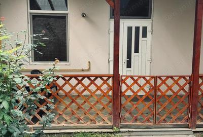 AV660 Apartament 1 camera, la curte, zona strazii Mangalia-Iosefin - 15