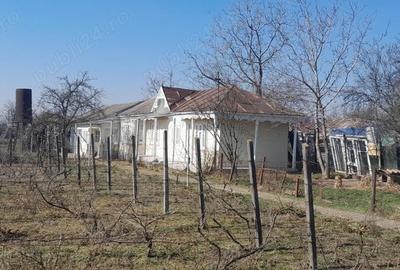 Casă cu 4 camere cu Teren 1934 Mp în Piscu - 9