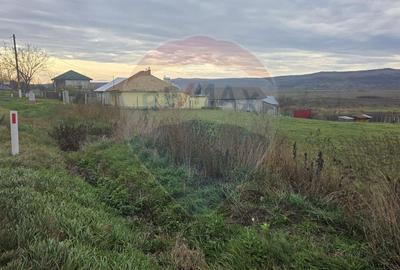 Teren intravilan si extravilan 8,282mp oras Negresti, judetul Vaslui - 6