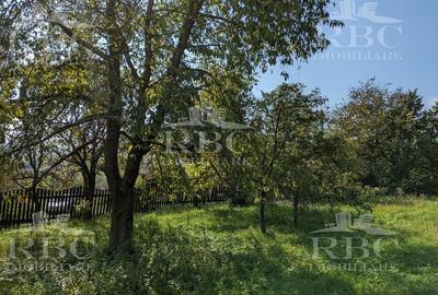 Teren intravilan de 4873 mp, în Moldovenești - 1