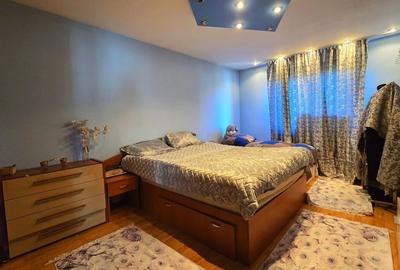 Vila ta aproape de natura – 8 camere, Lacul Pasarea - 11