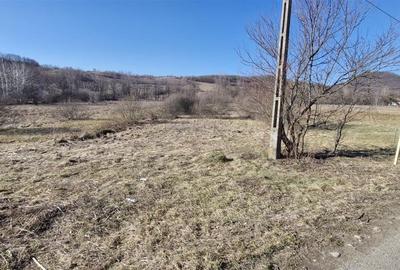Teren Construcții intravilan de 3893 mp, în Borod - 6