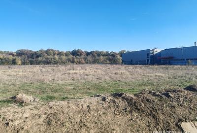 Vanzare Teren 8,9 ha Otopeni - Zona Philip Morris Vanzare Teren 8,9 ha Otopeni - Zona Philip Morris - 3