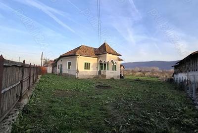 Casă în Pleșoiu (Nicolae Bălcescu) - 12