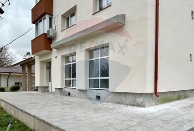 Spatiu stradal ultracentral de inchiriat Mihail Kogalniceanu,Constanta - 8