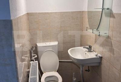 Casa cu 4 camere, cazare muncitori sau sediu firma,  cartierul Romanesti - 9