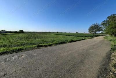 Teren de 3800 mp, în Dârza