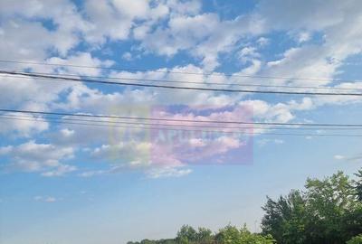 Se vinde teren 4200 mp in Teisori Giurgiu - 16