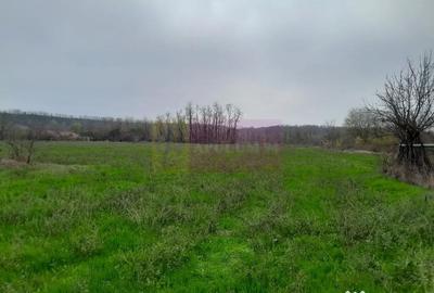 Casă cu 3 camere cu Teren 15000 Mp în Bărcănești - 6