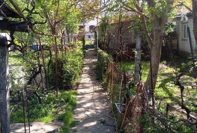 Casă cu 5 camere cu Teren 1000 Mp în Central - 3