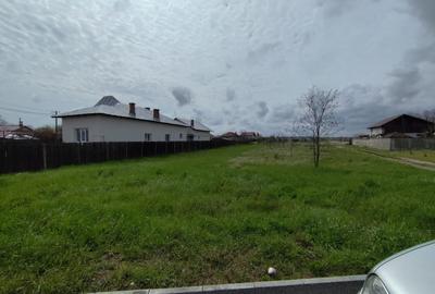 TEREN DE VANZARE BRADU - 4