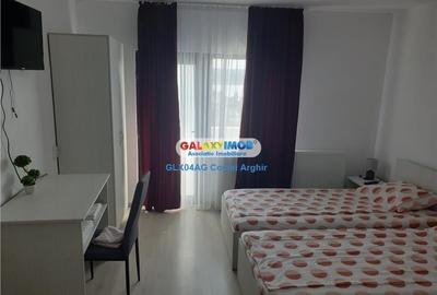 Inchiriem vila in Budeasa, mobilata si utilata - 36