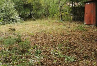 Firiza, 4,5 ari teren - 1