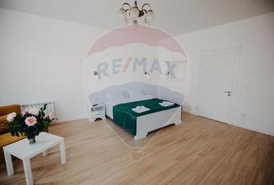 Apartament modern de inchiriat - se accepta regim hotelier - 2