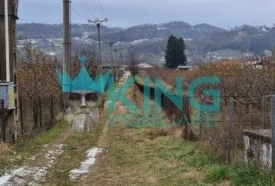 Teren agricol extravilan de 10000 mp, în Șuici