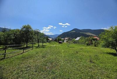 Teren de 1350 mp, în Borca