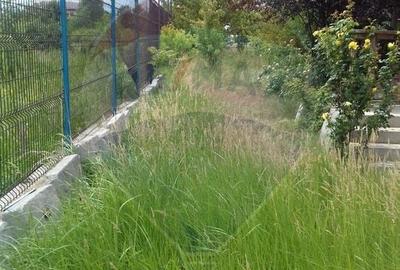 Casă individuală cu 5 camere cu Teren 619 Mp în Domnești - 5