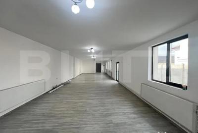 Spațiu comercial, de 140 mp, în George Enescu - 9