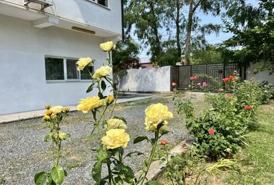 Casă cu 8 camere cu Teren 521 Mp în Pasărea - 43