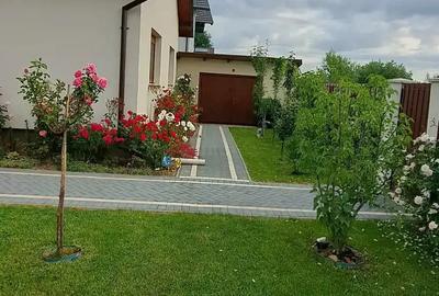 Casa in Lunca Calnicului - 10