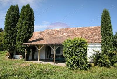 Casă cu Teren 1138 Mp în Moardăș - 8