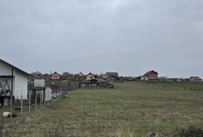 Teren de 600 mp, în Șura Mare - 5