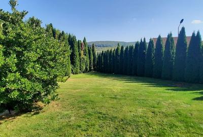 Casă cu 4 camere cu Teren 801 Mp în Livezeni - 10