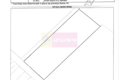 Vanzare teren intravilan agricol in zona Mihailesti, Giurgiu - 5