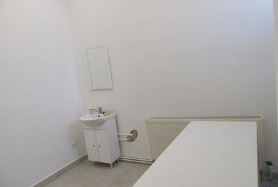 Inchiriere Spatiu Comercial Teiul Doamnei - 26