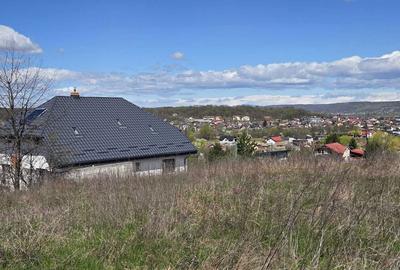 Teren de 1316 mp, în Bascov - 3