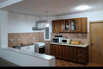 Apartament cu 2 camere semidecomandat în Gara Mare - 3