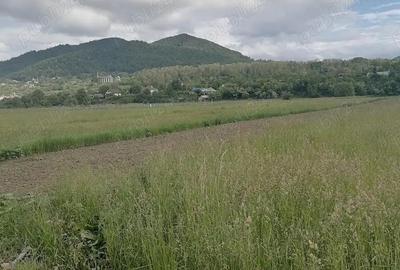 Teren intravilan 3900 mp Negre?ti - 2