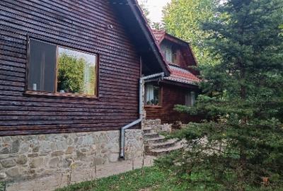 Izvoarele, Prahova - 2
