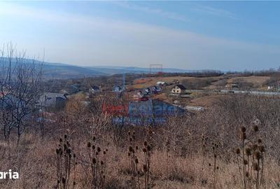 Teren de 3000 mp, în Bârnova - 2